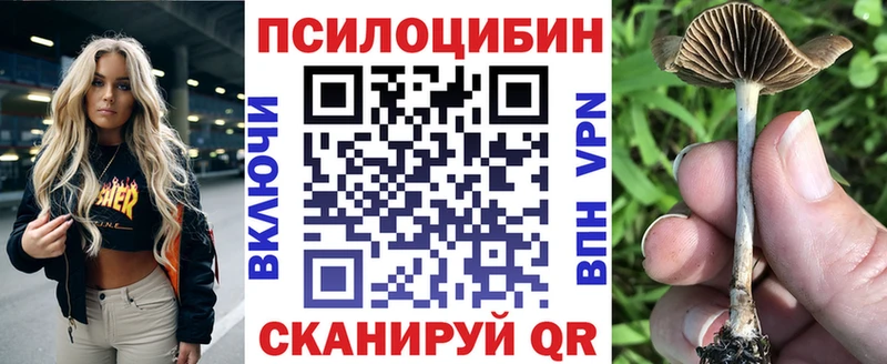 Псилоцибиновые грибы Psilocybe  Зея 