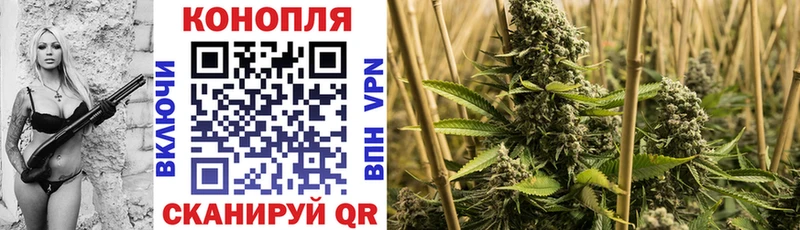 закладка Зея Конопля сатива